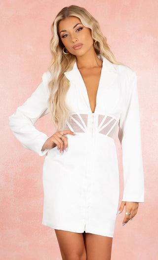 Time To Live White Long Sleeve Collar Plunge V Neck Hook And Eye Sheer Mesh Cut Out Bodycon Mini Dress